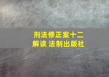 刑法修正案十二解读 法制出版社